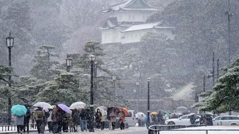 โตเกียวเผชิญหิมะหลงฤดู เตือนประชาชนรับมือสภาพอากาศรุนแรง