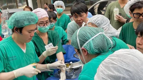 เปิดใจ "หมอเต้ย" เย็บปิดช่องท้องคนไข้กลางแจ้ง ขณะเกิดเหตุแผ่นดินไหว