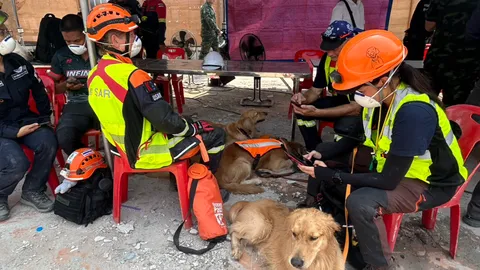 ผบ.ทบ. สั่งนำสุนัข K-9 -ทหารช่าง เข้าช่วยค้นหาผู้ประสบเหตุตึก สตง. ถล่ม