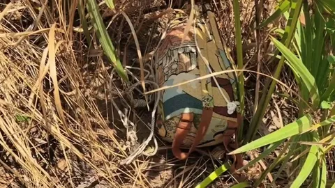 พบศพหนุ่มวัย 30 ปี ผูกคอกลางทุ่งนา แม่เผยลูกชายกำลังจะกลับไปทำงานที่ไต้หวัน