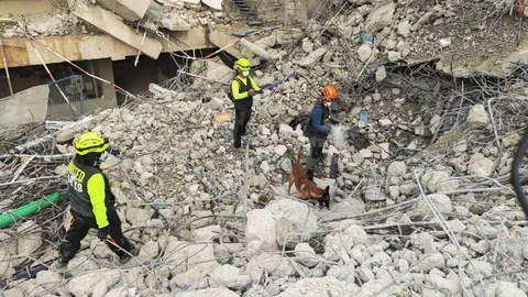 ค้นหาต่อเนื่อง ผู้ติดค้างเหตุตึก สตง. ถล่ม สุนัข K-9 ร่วมค้นหาใต้ซากโซน B