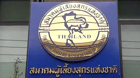 เกษตรกรค้านแนวคิดนำเข้าเนื้อหมูสหรัฐ เสี่ยงกระทบวงจรเลี้ยงหมูพังทั้งประเทศ