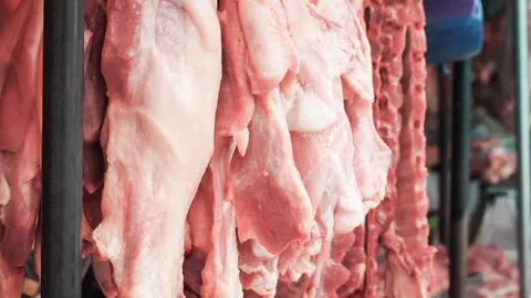 คนเลี้ยงหมูวิ่งพล่าน อย่านำเข้าสุกรมะกัน 