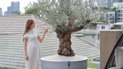 ส่องเรือนหอ แต้ว ณฐพร เผยมุมริมระเบียงสุดหรู ตกแต่งสวยงามอลังการมาก