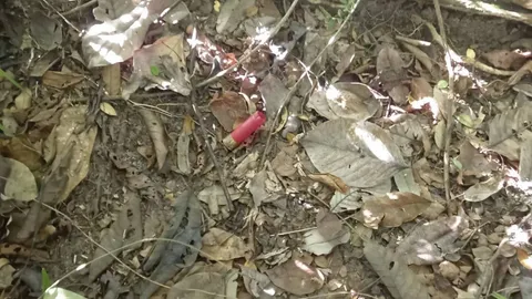 ทหารพรานชุดปฏิบัติการจรยุทธ์ ปะทะโจรใต้คาดเป็นกลุ่มยิง “ร.ต.อ.อำมฤต” เสียชีวิต