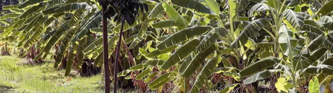 ธนารักษ์เตรียมขึ้นค่าเช่าที่ราชพัสดุปีหน้า ลุยพัฒนาที่ดิน 1 ล้านไร่หวังเพิ่มรายได้ 20%