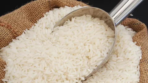 ทำใจ! ปีนี้ส่อวืดเป้าส่งออกข้าว