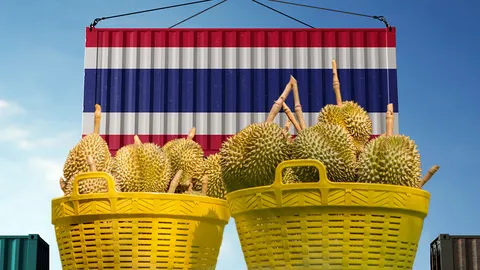 ทุเรียนไทย ชาวสวนปาดน้ำตา มรสุมรอบทิศ เข้มส่งออก-ผลผลิตต่ำ