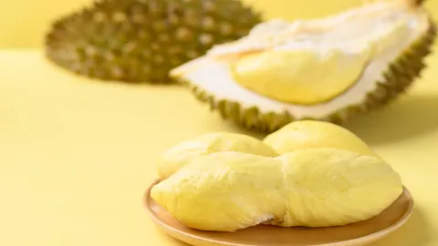 ปักหมุด 5 บุฟเฟต์ทุเรียน 2568 ชวนทาสรักทุเรียนไปเช็กอิน