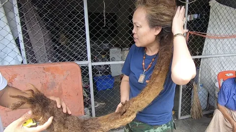 หญิงวัย 50 เผยเหตุผลไว้ "ผมผีช่อ" มากว่า 10 ปี เชื่อมีสิ่งลี้ลับคุ้มครองอยู่