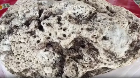 ประกาศขาย 3 ล้าน อ้วกวาฬทะเลตราด หนุ่มใหญ่ประมงพื้นบ้าน มั่นใจของแท้แน่นอน