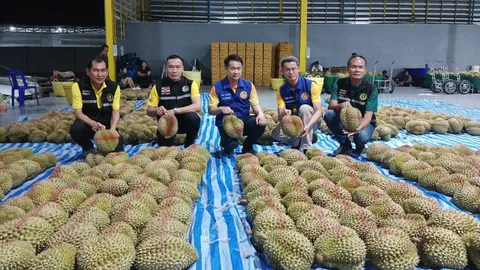ยึด "ทุเรียนอ่อน" คาล้งที่จันทบุรีกว่า 2 ตัน คัดแยกก่อนนำไปทำลาย 