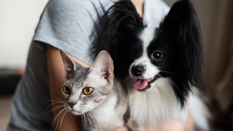 กฎระเบียบเลี้ยงสัตว์ใน กทม. ที่ควรรู้  เพื่อการอยู่ร่วมกันอย่างมีความสุข และความรับผิดชอบ