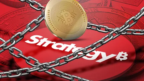 เกมเดิมพันแห่งศตวรรษ MicroStrategy จากบริษัทซอฟต์แวร์ สู่ วาฬยักษ์ถือ Bitcoin มากสุดในโลก