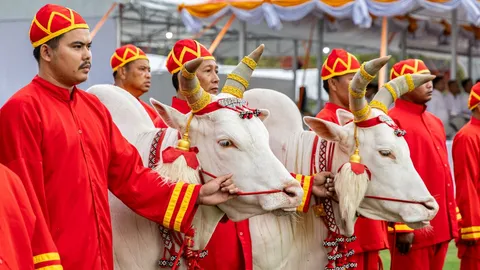 วันพืชมงคล 9 พฤษภาคม 2568 วันหยุดราชการ เช็กชัดๆ ใครหยุดบ้าง ธนาคารหยุดไหม