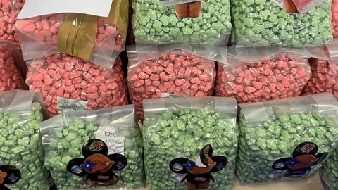 สกัดลอตใหญ่ ยาอี 55 ล้านบาท รูปการ์ตูน “Molly” มี สาวลาว รับจ้างขน