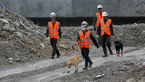 ภารกิจ K-9