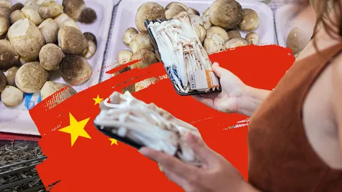 เห็ดนำเข้า ครองตลาด เห็ดไทย สู้ราคาไม่ได้-ขาดเทคโนโลยีเพิ่มมูลค่า 