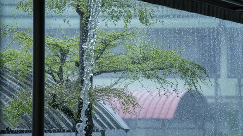 กรมอุตุฯ ประกาศไทยเข้าฤดูฝนแล้ว คาดสิ้นสุดช่วงกลาง ต.ค. 68