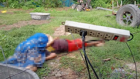 ช็อตตายคู่