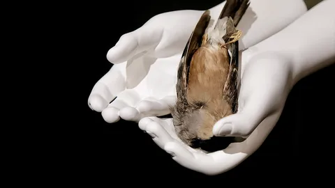 มูลนิธิ บางกอก อาร์ต เบียนนาเล่ จัดเสวนา 2 ศิลปินดังระดับโลก