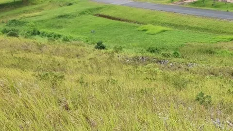 รวบหนุ่มใหญ่วัย 59 ปี ใช้หินทุบหัวอดีตเมียดับ อ้างมีปากเสียงกันเรื่องโอนรถ