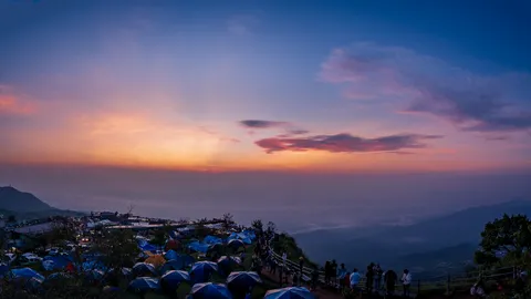 ภูทับเบิก ที่เที่ยวเพชรบูรณ์สุดฮิต ชมวิวทะเลหมอก ฮีลใจ ฟินห้ามพลาด