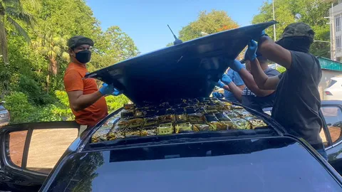 ซุกหลังคา