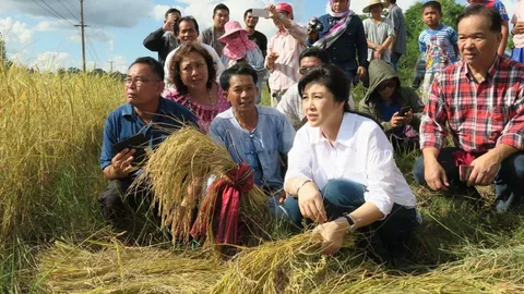 11 ปีรัฐประหาร “ยิ่งลักษณ์” โอด หนี้ 10,000 ล้าน ชดใช้ทั้งชีวิตก็ไม่หมด