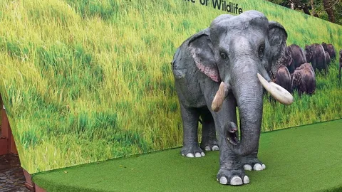 ­­­ส่องสัตว์ “เขาใหญ่” วันนี้ “บางอย่าง” ที่ “หายไป”