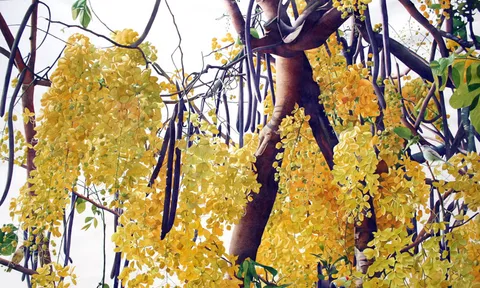  'วันเวลากับสีน้ำ' จิตรกรรม ธรรมชาติ จากปลายพู่กัน