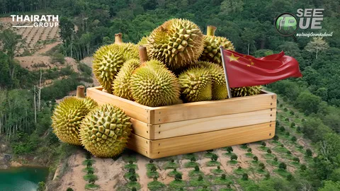"ทุนจีน" ปลอมเอกสาร-แต่งงาน กว้านซื้อสวนทุเรียนไทย (คลิป)