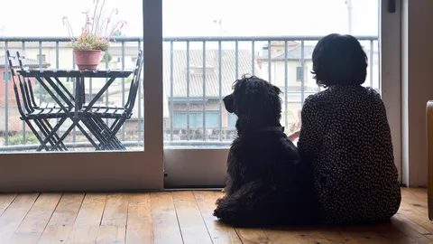 แบบทดสอบความกลัวแบบไหนซ่อนอยู่ในใจคุณ Quiz เชื่อมโยงความรู้สึกที่แท้จริงกับเพื่อนสี่ขา