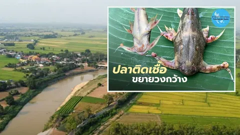 สารพิษ!แม่นํ้ากก ภัยเงียบที่มองไม่เห็น