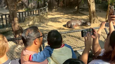 "หมูเด้ง" สานฝันสุดท้ายให้ "น้องออโต้" ป่วยมะเร็ง ได้มีความสุขก่อนเสียชีวิต