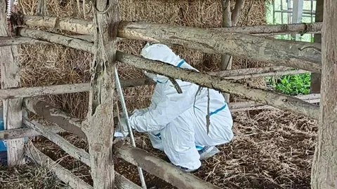 ปศุสัตว์ จ.สระแก้ว รุดตรวจคอกควาย-ฉีดฆ่าเชื้อ หลังพบผู้ป่วยโรคแอนแทรกซ์รายแรก