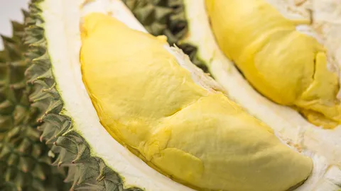 สาเหตุทุเรียนราคาร่วง!!