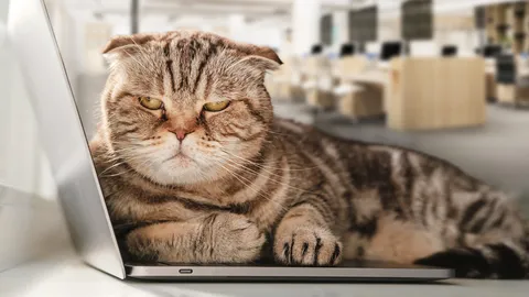 ยุคสมัยที่คนทำงานไม่ลาออก แต่หัวใจ “ลาจาก”ไปนานแล้ว วิกฤติซ้อนวิกฤติของตลาด “แรงงาน” หลายประเทศ 