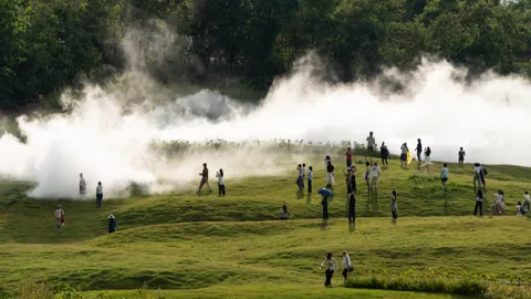 เมื่อศิลปะ และธรรมชาติหลอมรวมเป็นประสบการณ์ใหม่ ณ ศิลป่า เขาใหญ่