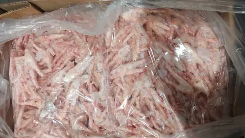 บุกทลายห้องเย็นลอบนำเข้า "ขาไก่เถื่อน" จำนวนมหาศาล รวมกว่า 3 แสนกิโลกรัม