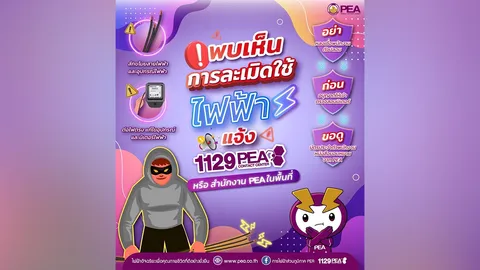 PEA เตือนละเมิดการใช้ไฟฟ้า อาจเสียค่าปรับและมีความผิดตามกฎหมาย