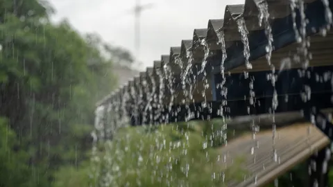 เตือนพายุ "หวู่ติบ" ฉบับ 8 ภาคอีสานฝนเพิ่มขึ้น ตกหนักถึงหนักมากบางแห่ง