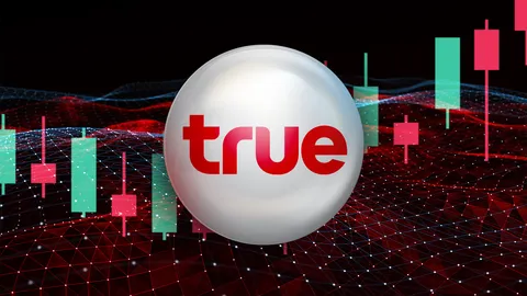 TRUE เตรียมออกหุ้นกู้ 4 ชุด ชูดอกเบี้ย 3.20-3.85% ต่อปี จ่ายดอกเบี้ยทุก 6 เดือน