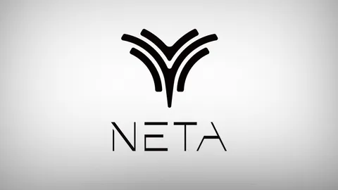 Hozon ผู้ผลิตรถไฟฟ้า Neta ยื่นล้มละลายอย่างเป็นทางการในจีน