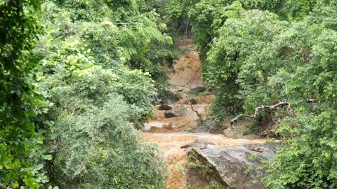 เชียงใหม่เตือน 25 อำเภอ เตรียมรับมือน้ำท่วม-ดินถล่ม ฝนตกหนัก 2-6 ก.ค. 68