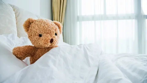 รร.ญี่ปุ่นให้บริการเตียงจิ๋วสำหรับตุ๊กตา เอาใจนักเดินทางสายมุ้งมิ้ง