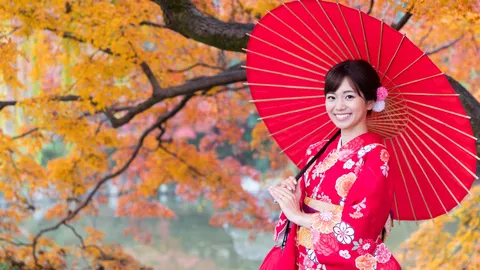 พยากรณ์ใบไม้เปลี่ยนสี ญี่ปุ่น 2025 เที่ยวญี่ปุ่นเดือนไหนดี ชมวิวใบไม้เปลี่ยนสีช่วงไหนสวยที่สุด