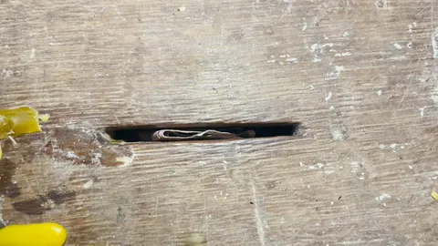 กัมพูชายังเฉย ตั้งตู้รับบริจาคในปราสาทตาควาย พอเต็มไขออก ทหารไทยเร่งเจรจาหาข้อสรุป