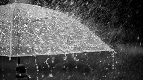 พายุวิภา 2568 รวม 10 วิธีรับมือน้ำท่วมฉับพลัน และพายุ รู้ไว้ก่อนภัยมา