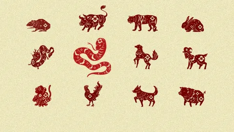 12 นักษัตร ส.ค.-ธ.ค. 68 เช็กดวงจีน วางแผนชีวิตครึ่งปีหลัง